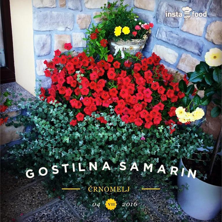 Hotel Samarin Crnomelj ภายนอก รูปภาพ