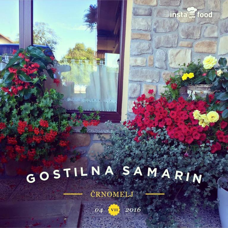Hotel Samarin Crnomelj ภายนอก รูปภาพ
