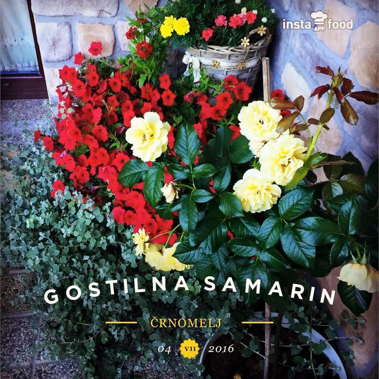 Hotel Samarin Crnomelj ภายนอก รูปภาพ
